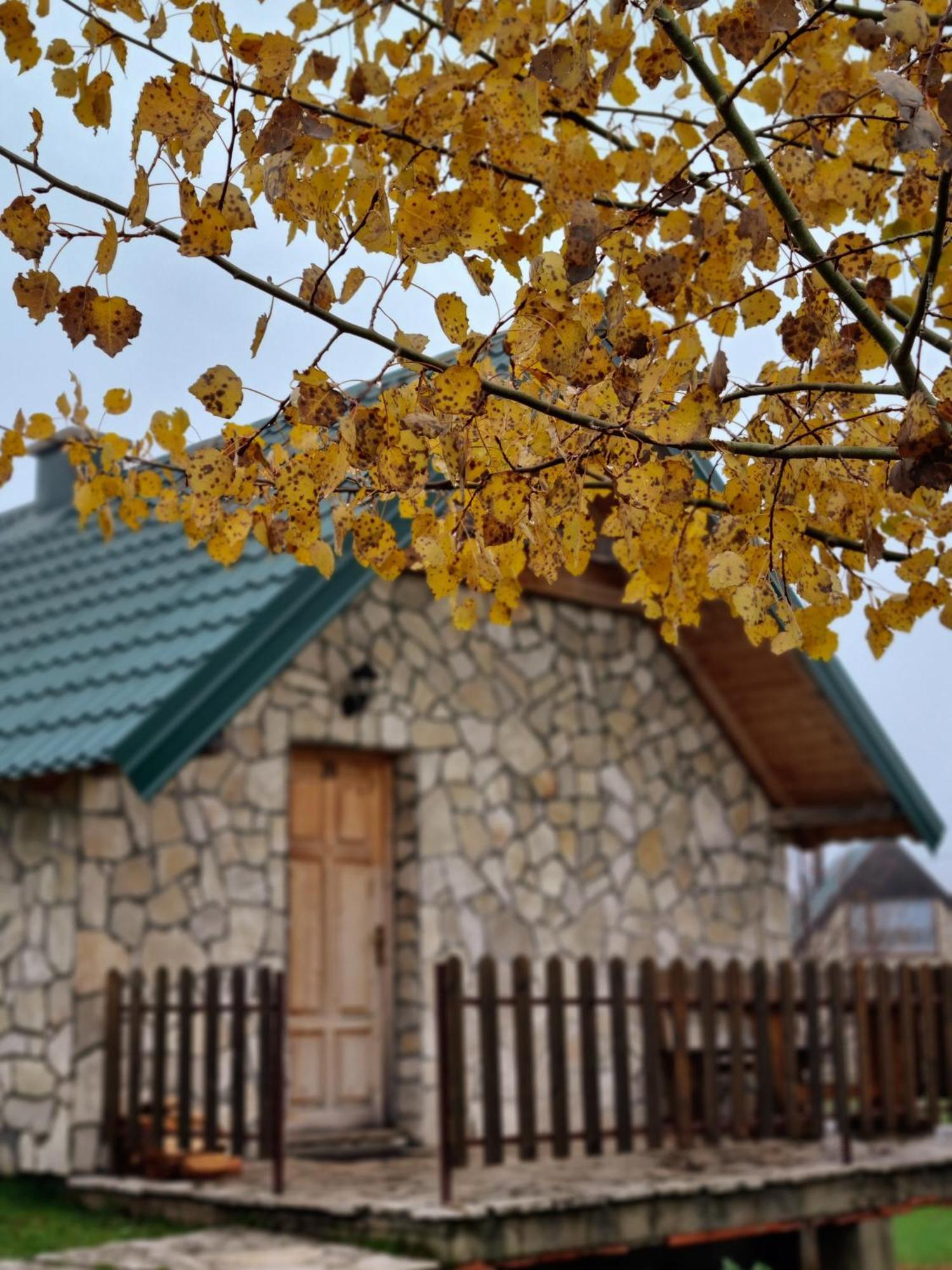 Etno Selo Izlazak Villa Rudinice Cameră foto
